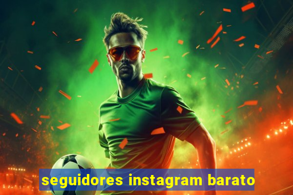 seguidores instagram barato